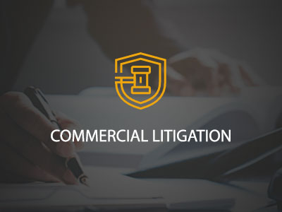 Commercial Litigation